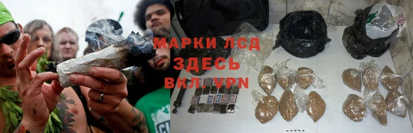 МДПВ Новокубанск