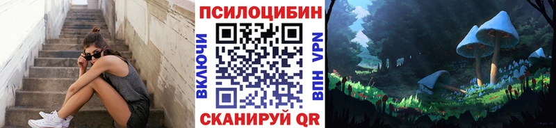 МЕГА ТОР Искитим Галлюциногенные грибы Psilocybine cubensis