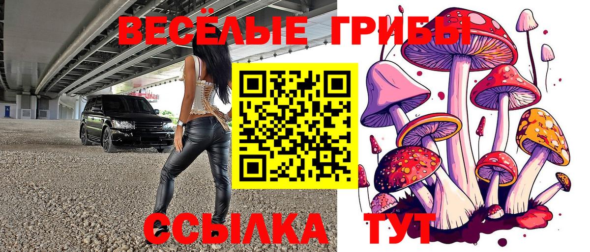 Искитим  Псилоцибиновые грибы Magic Shrooms  Вход с VPN  Псилоцибиновые грибы ЛСД 